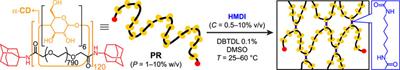 Chemorheological Monitoring of Cross-Linking in Slide-ring Gels Derived From α-cyclodextrin Polyrotaxanes